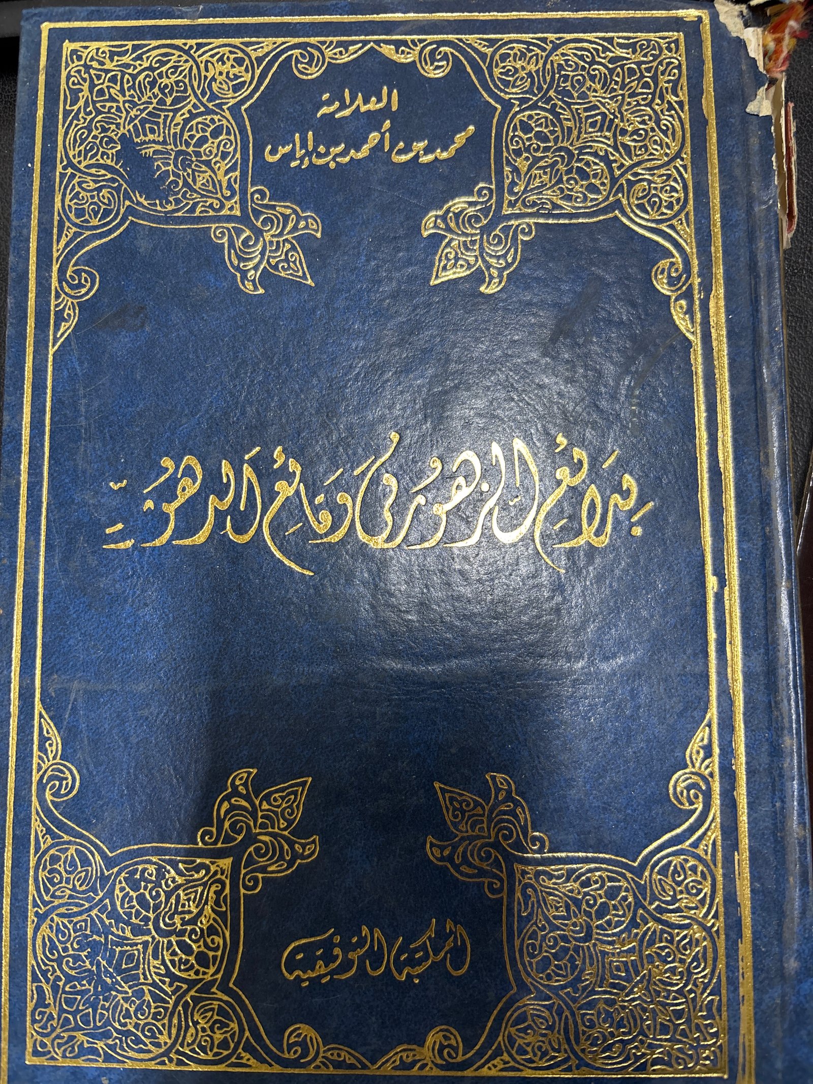 بدائع الزهور في وقائع الدهور